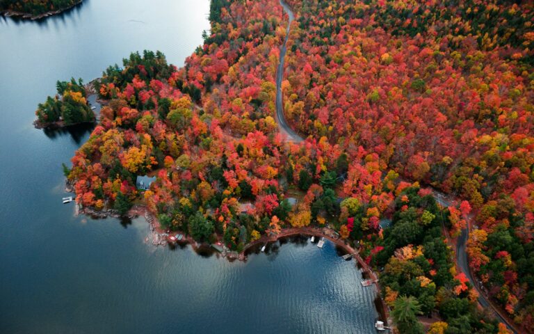 Mùa thu lá đỏ Bắc Ontario 4 ngày