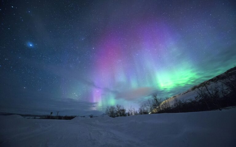 Yukon săn cực quang 5 ngày: Whitehorse – hồ Laberge