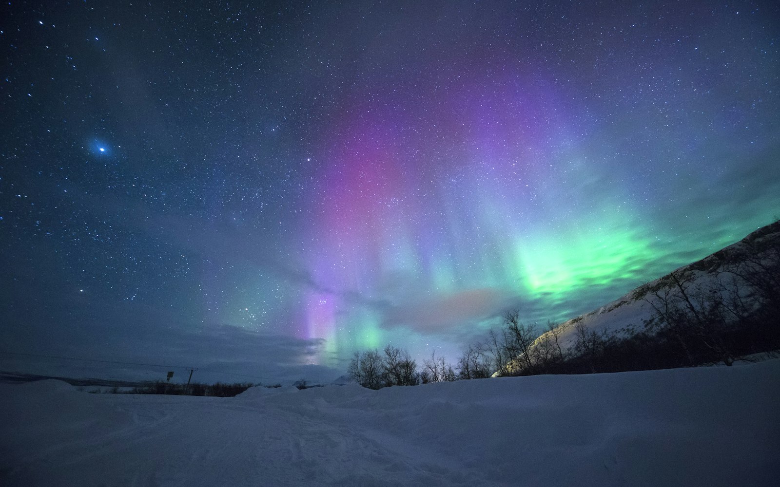 Yukon săn cực quang 5 ngày: Whitehorse – hồ Laberge