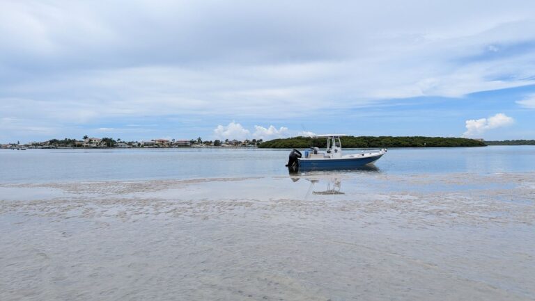 Port Charlotte: mò nghêu, bắt cua, bắt ốc
