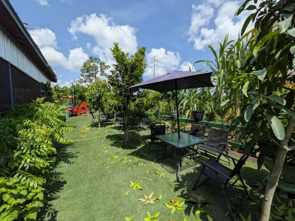 Tropical Fruit Farms of Tampa Bay – AHL Tours & Travel